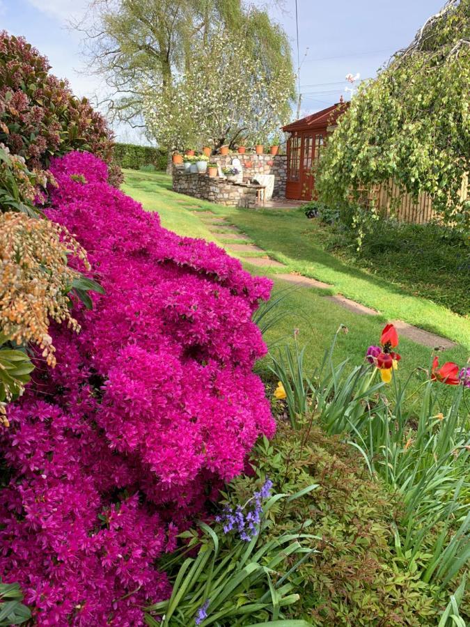 Llanwenarth Cottage A Beautiful Place To Just Be. Abergavenny Exterior foto